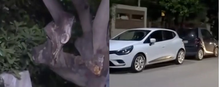 ελευσινα μητερα