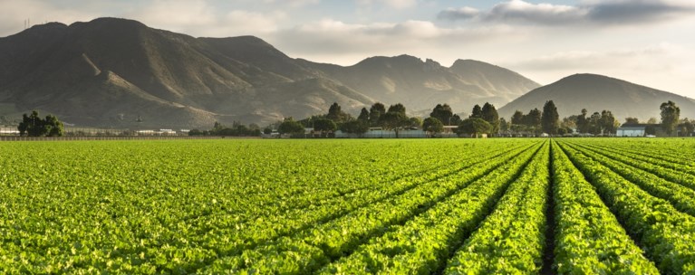 ΟΠΕΚΕΠΕ 37 ΣΥΛΛΗΦΘΕΝΤΕΣ