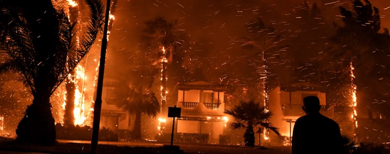 φωτιά Σχίνος