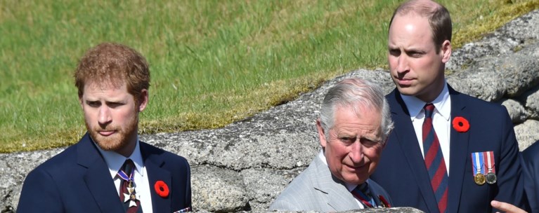 King Charles Prince Harry and Prince William