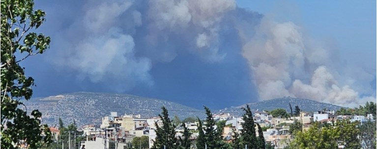 Φυλή