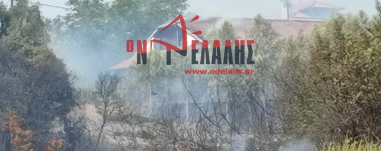 φωτια πιερια