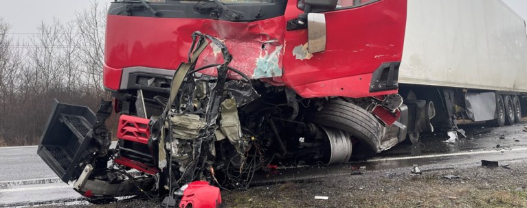 ΝΤΑΛΙΚΑ ΡΟΥΜΑΝΙΑ