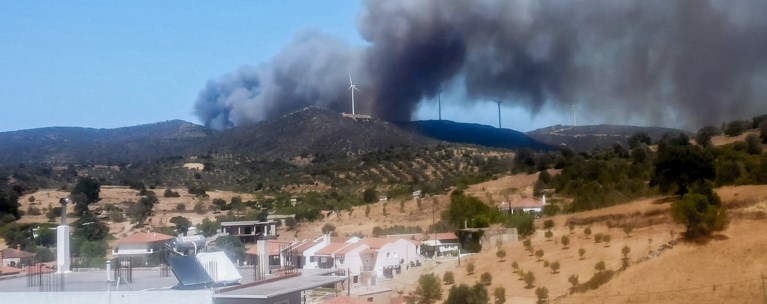 Φωτιά στην Εύβοια