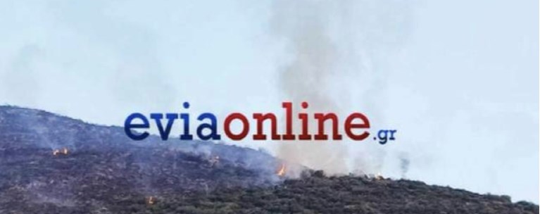 ΕΥΒΟΙΑ ΦΩΤΙΑ