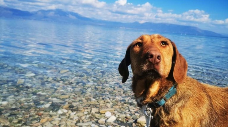 μαριλι