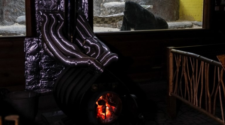 ουκρανια σομπα τονι