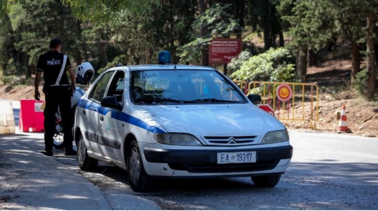 περιπολικο δασος