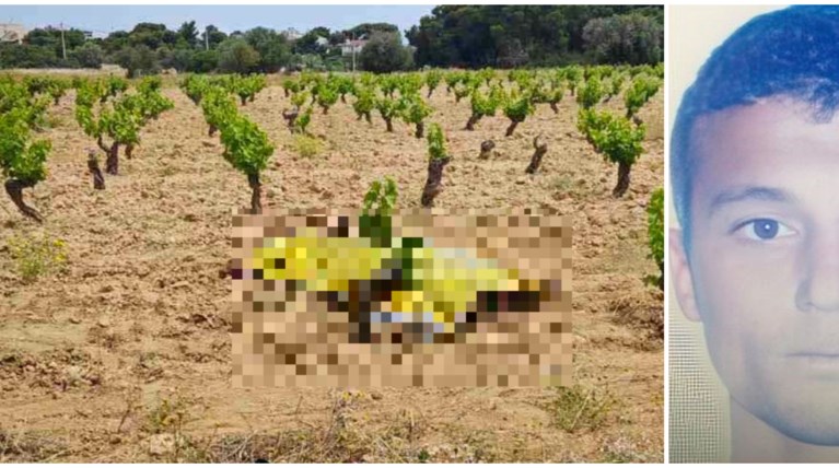 ΡΑΦΗΝΑ ΔΟΛΟΦΟΝΙΑ ΑΜΠΕΛΩΝΑΣ