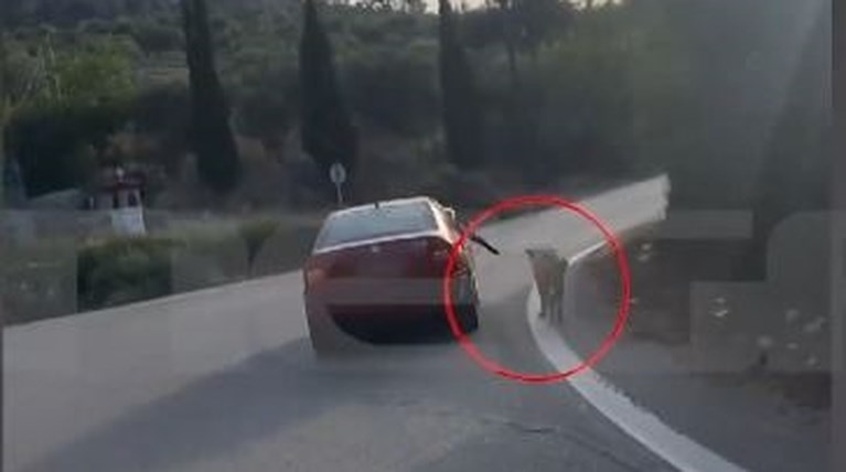 ναυπλιο