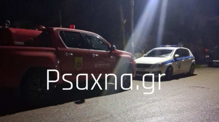 ΤΡΑΓΩΔΙΑ ΨΑΧΝΑ ΕΥΒΟΙΑΣ ΗΛΙΚΙΩΜΕΝΟ ΖΕΥΓΑΡΙ