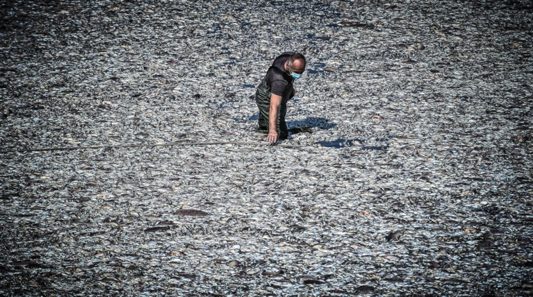 ΠΑΓΑΣΗΤΙΚΟΣ
