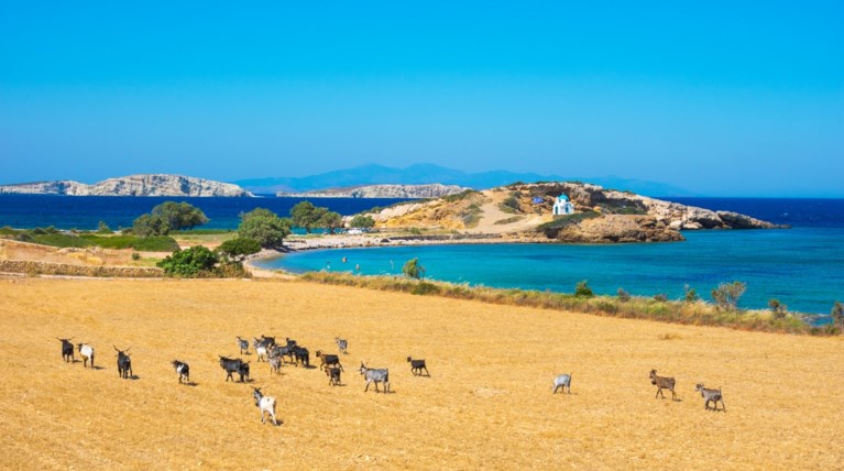 Λειψοί