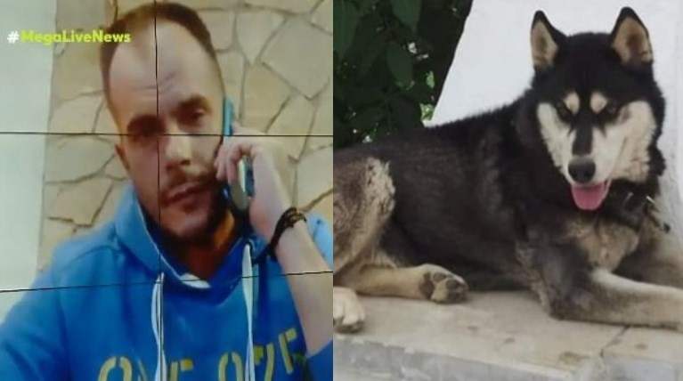 Χάσκι Όλιβερ Αράχωβα