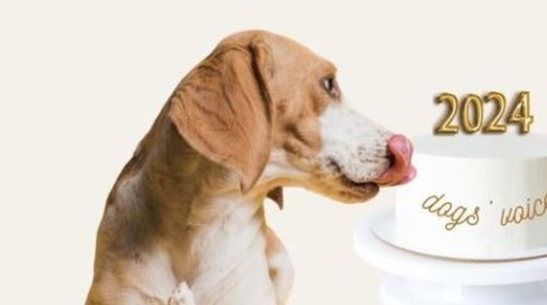 dogs voice