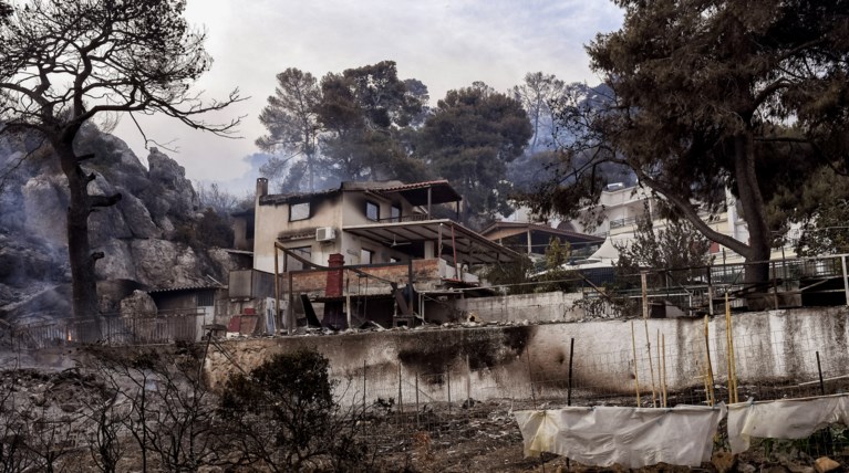 σχινο