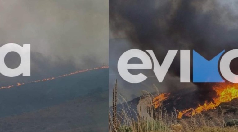 Φωτιά Κάρυστος