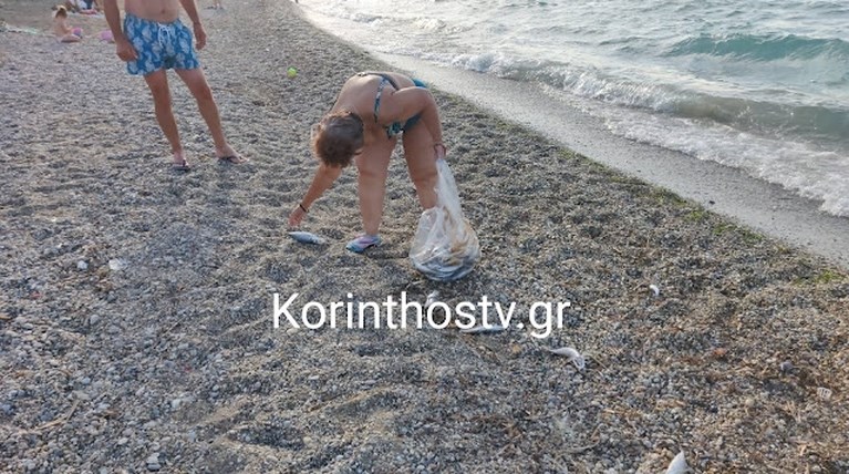 ψαρια κορινθια