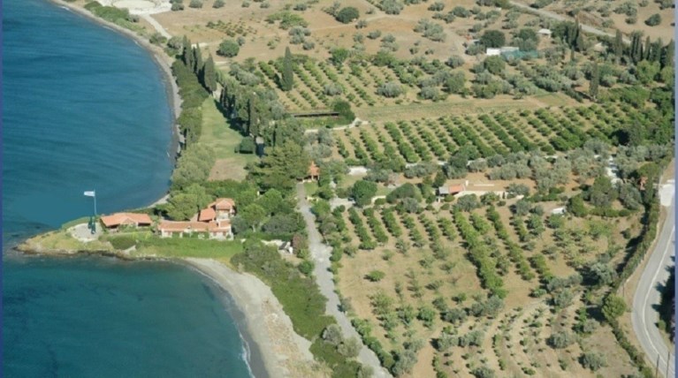κτημα κοντομηνα