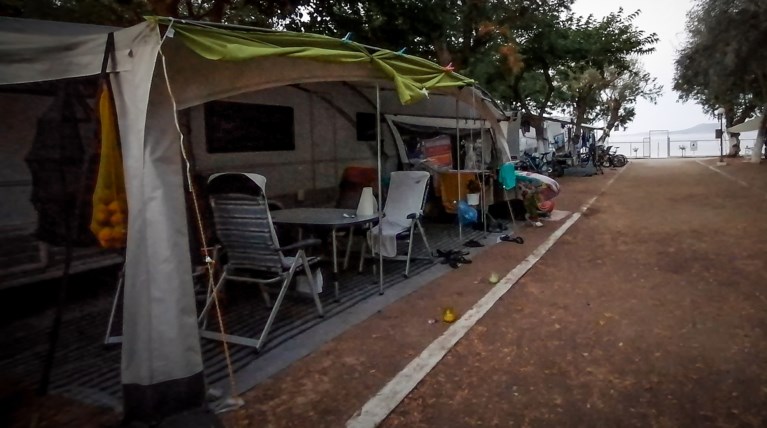 φοινικουντα