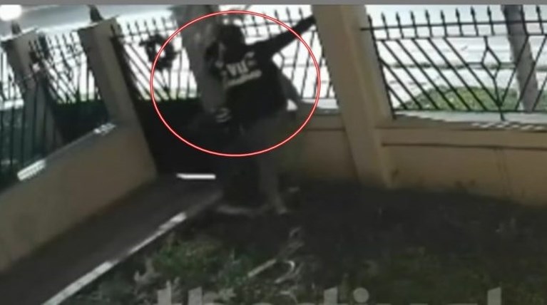 Κλοπή Χριστουγεννιατικου Δέντρου