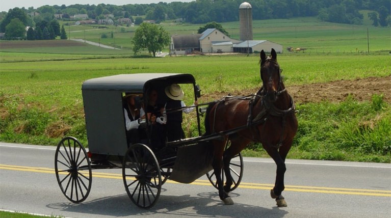 Amish