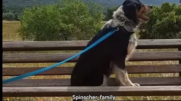 ηθικη φαρμα