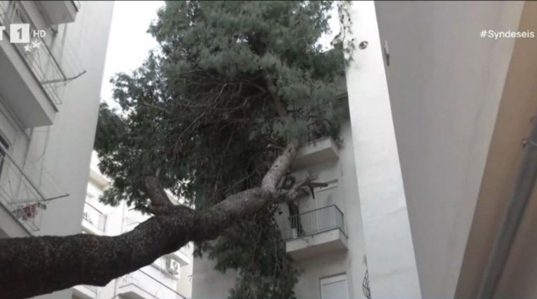 ΔΕΝΤΡΟ ΠΟΛΥΚΑΤΟΙΚΙΑ
