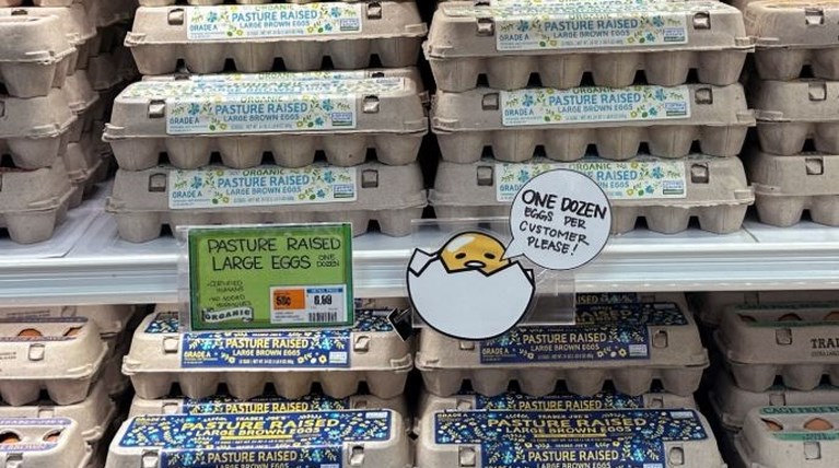 eggs