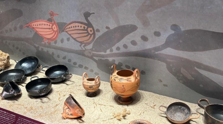 ΤΗΛΟΣ ΜΟΥΣΕΙΟ