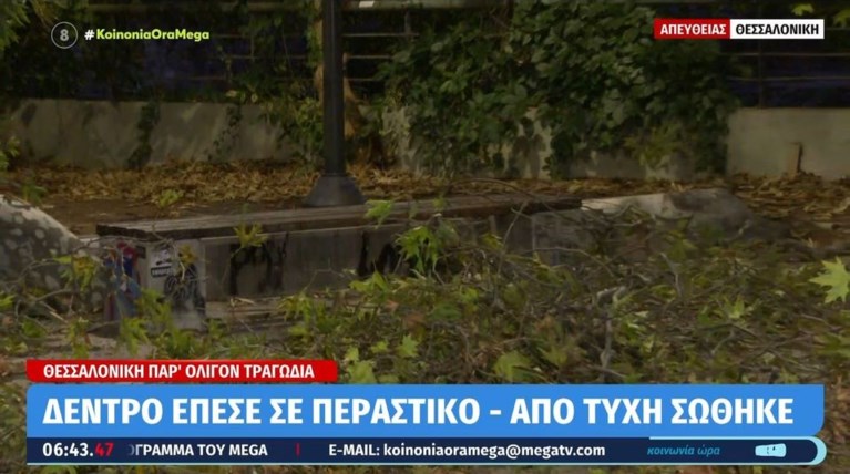 ΚΛΑΔΙ