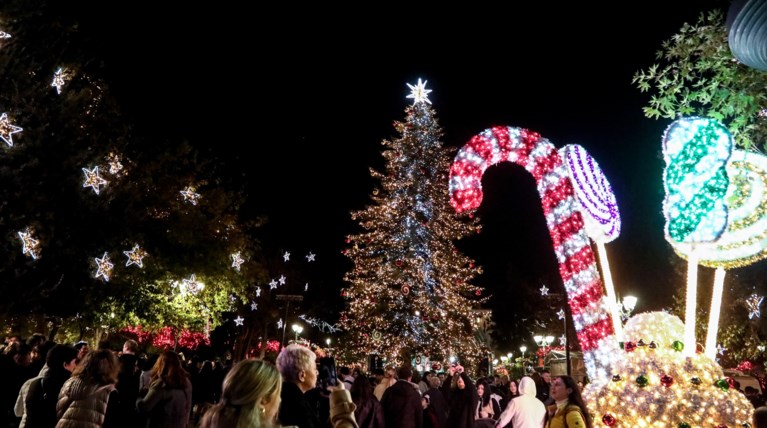 δεντρο συνταγμα