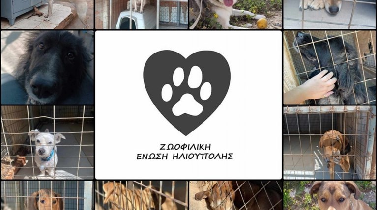 ζεη