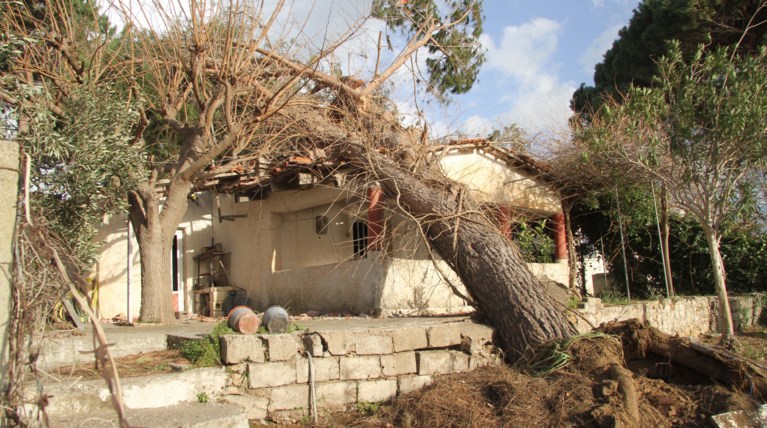 Ανεμοστρόβιλος Δέντρο Σπίτι