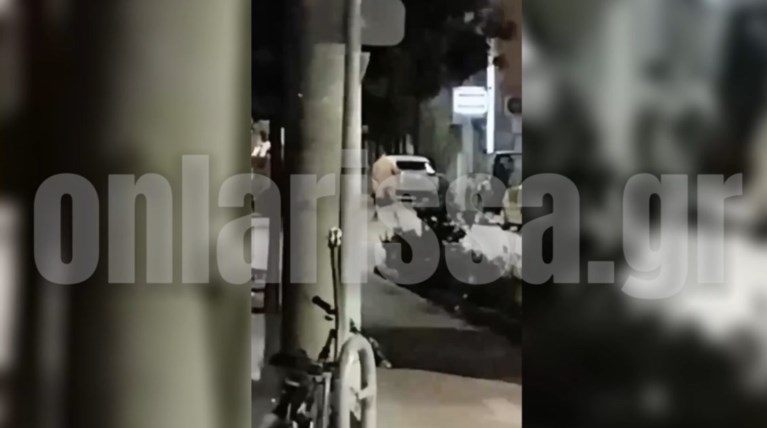 ΛΑΡΙΣΑ