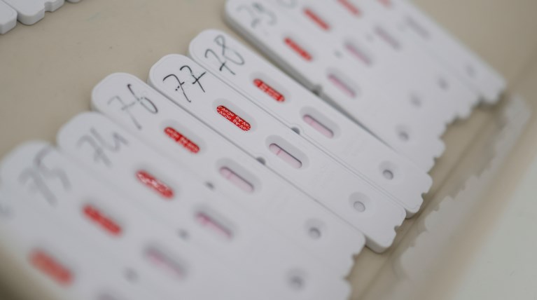 rapid test