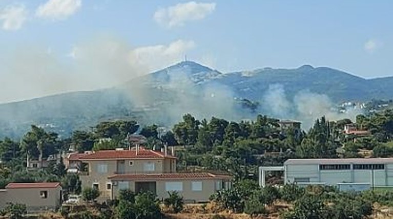 ΦΩΤΙΑ ΠΑΛΛΗΝΗ