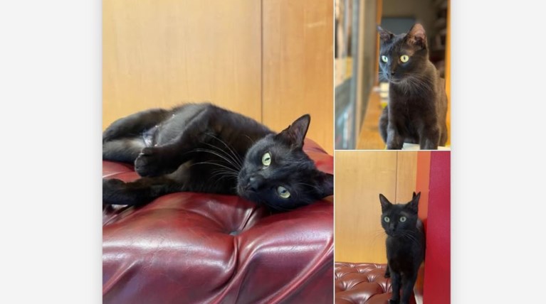 θέατρο πορεία