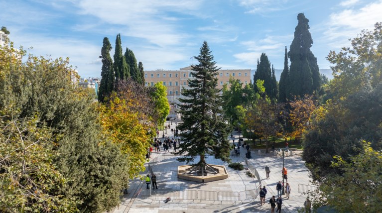 ΑΘΗΝΑ ΔΕΝΤΡΟ