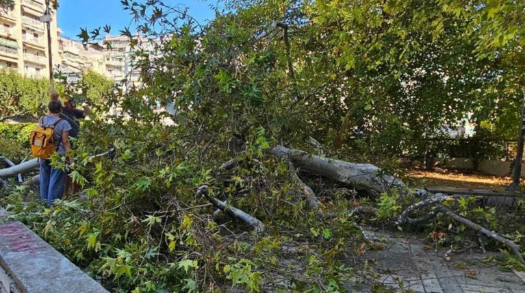ΔΕΝΤΡΟ ΘΕΣΣΑΛΟΝΙΚΗ