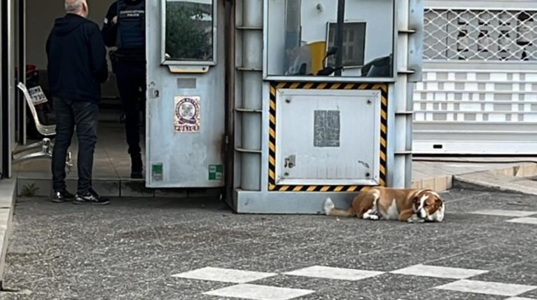 αγιοι αναργυροι