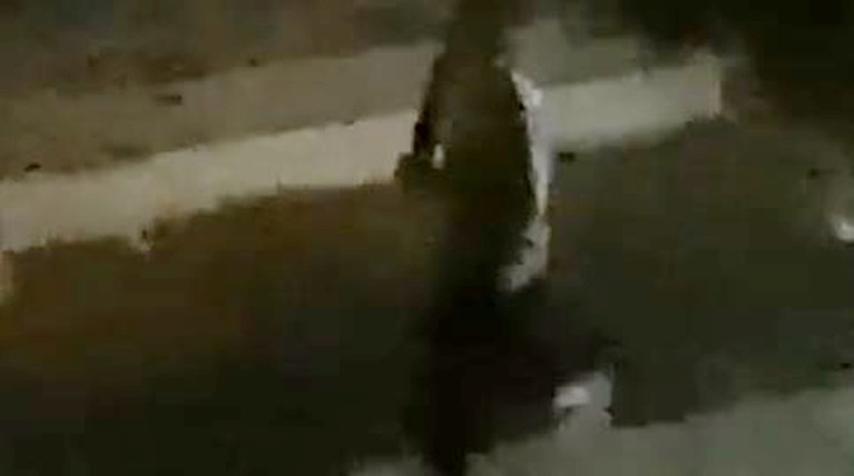 ληστης