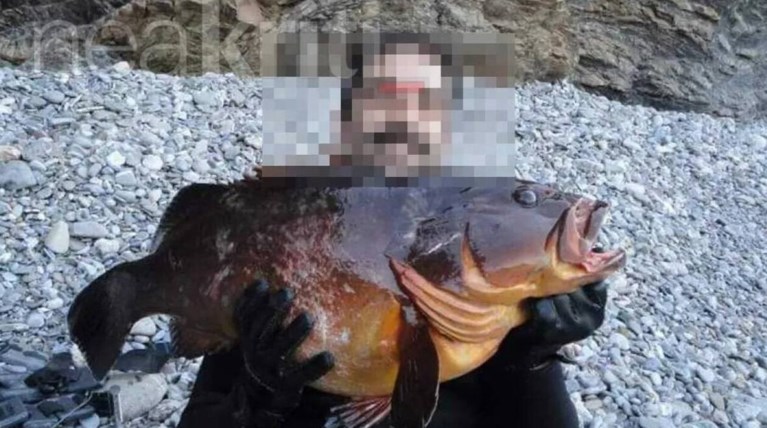 ΚΡΗΤΗ ΑΓΝΟΟΥΜΕΝΟς