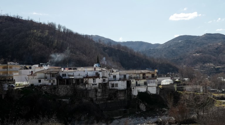 ΕΧΙΝΟΣ