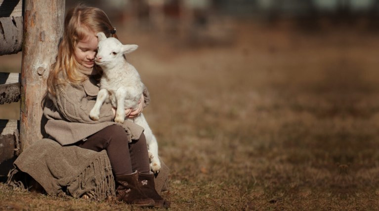 A Promise to Animals