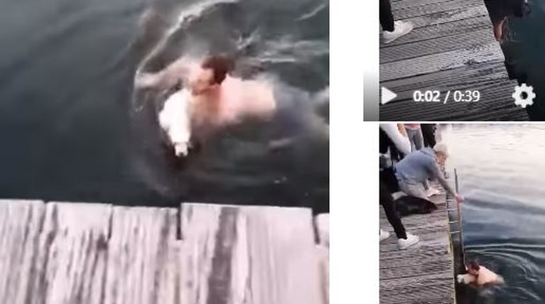 σκυλος
