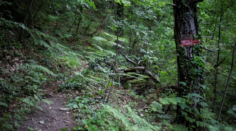 olimpos