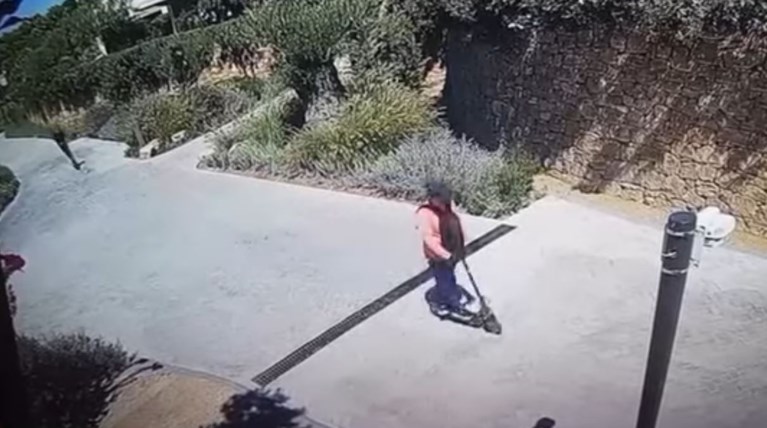 ΡΟΖ ΠΑΝΘΗΡΕΣ ΛΗΣΤΕΙΑ ΧΑΛΚΙΔΙΚΗ