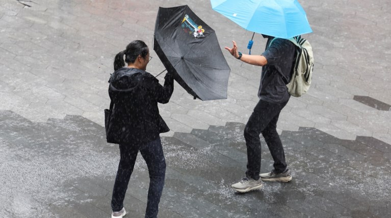 ΚΙΝΑ ΤΡΟΠΙΚΗ ΚΑΤΑΙΓΙΔΑ