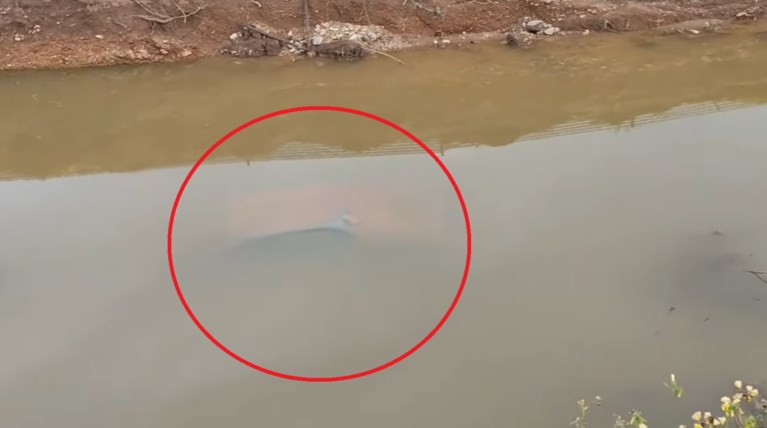 ΡΕΜΑ ΑΥΤΟΚΙΝΗΤΟ